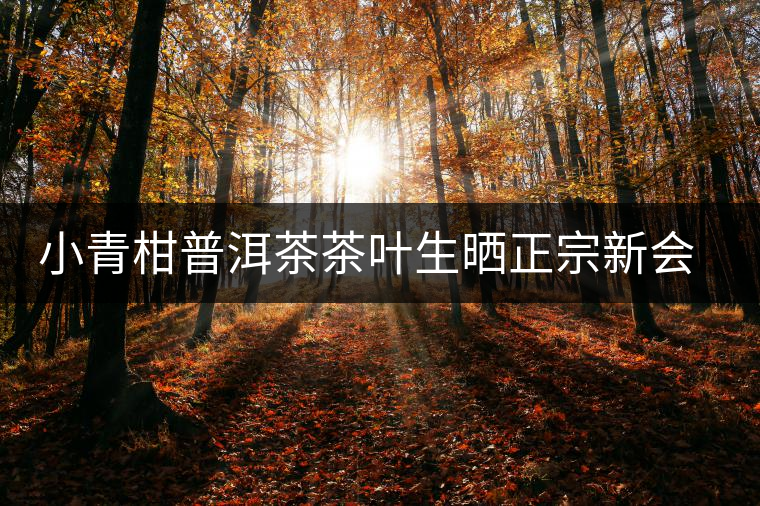 小青柑普洱茶茶葉生曬正宗新會(huì)特級(jí)柑普陳年熟茶陳皮桔普散裝罐裝 小青柑普洱茶茶葉生曬正宗新會(huì)特級(jí)柑普陳年熟茶陳皮桔普散裝罐裝