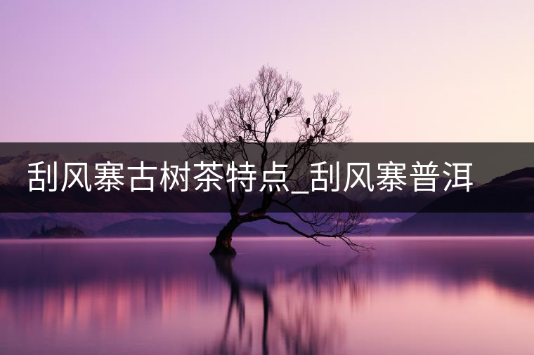 刮風(fēng)寨古樹茶特點(diǎn)_刮風(fēng)寨普洱茶口感