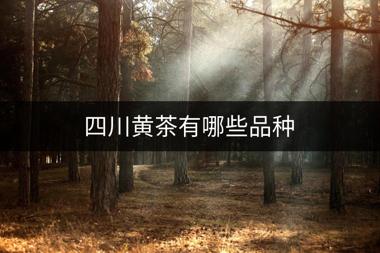 四川黃茶有哪些品種