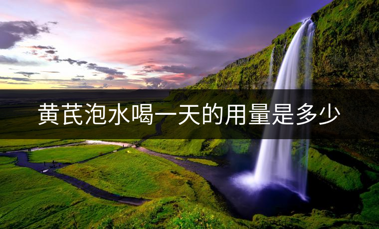 黃芪泡水喝一天的用量是多少 黃芪泡水喝一天的用量是多少