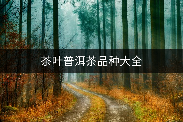 茶葉普洱茶品種大全