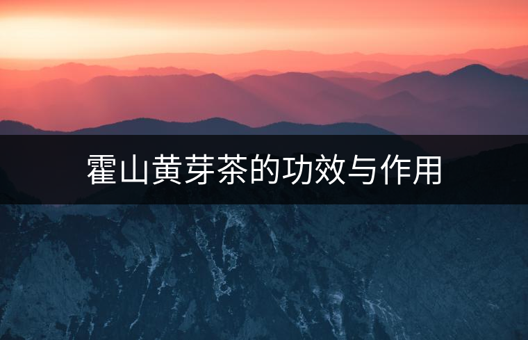霍山黃芽茶的功效與作用