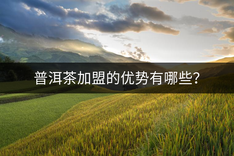 普洱茶加盟的優(yōu)勢(shì)有哪些？