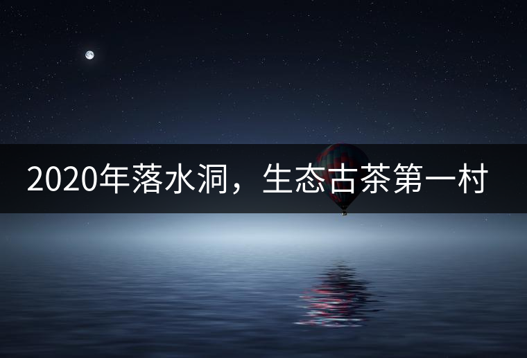 2020年落水洞，生態(tài)古茶第一村-易武中聘號
