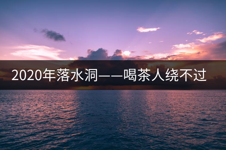 2020年落水洞——喝茶人繞不過(guò)的溫柔鄉(xiāng)！-易武中聘號(hào)