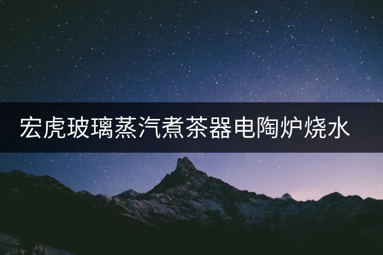 宏虎玻璃蒸汽煮茶器電陶爐燒水壺泡茶養(yǎng)生普洱茶提粱銅把扭煮茶壺