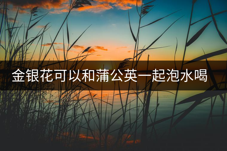 金銀花可以和蒲公英一起泡水喝嗎