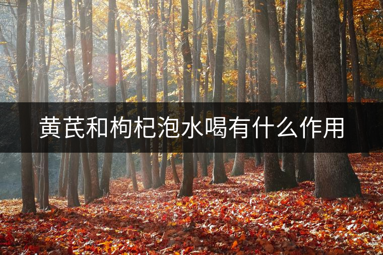 黃芪和枸杞泡水喝有什么作用