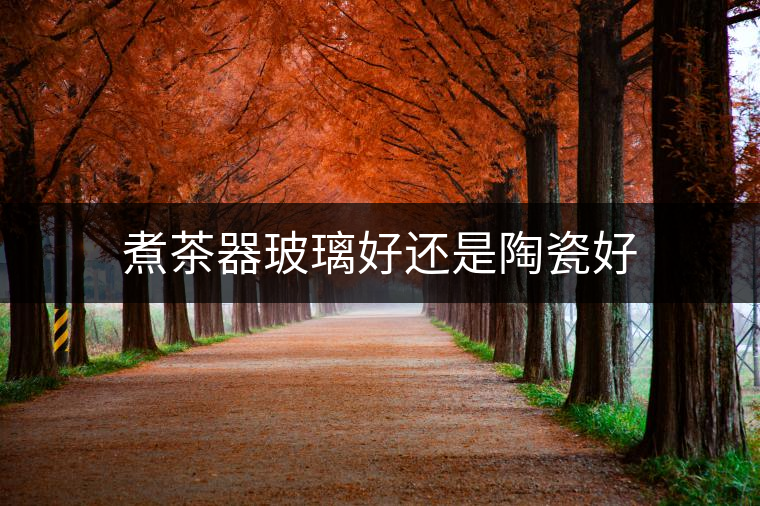 煮茶器玻璃好還是陶瓷好