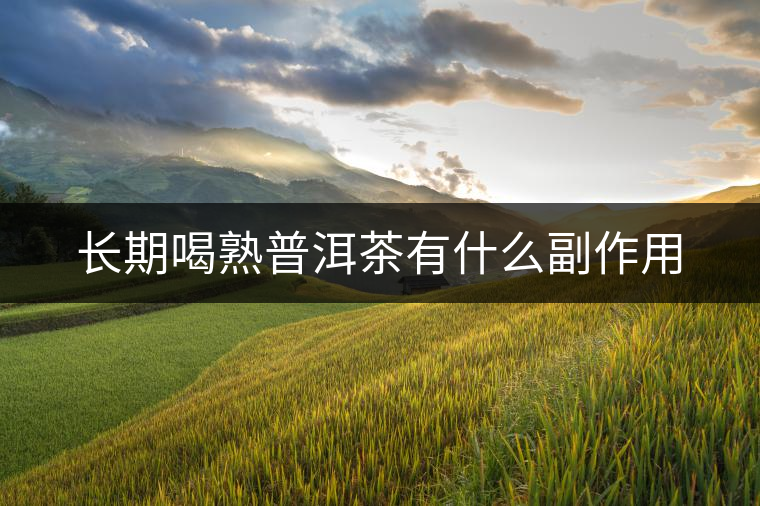 長期喝熟普洱茶有什么副作用