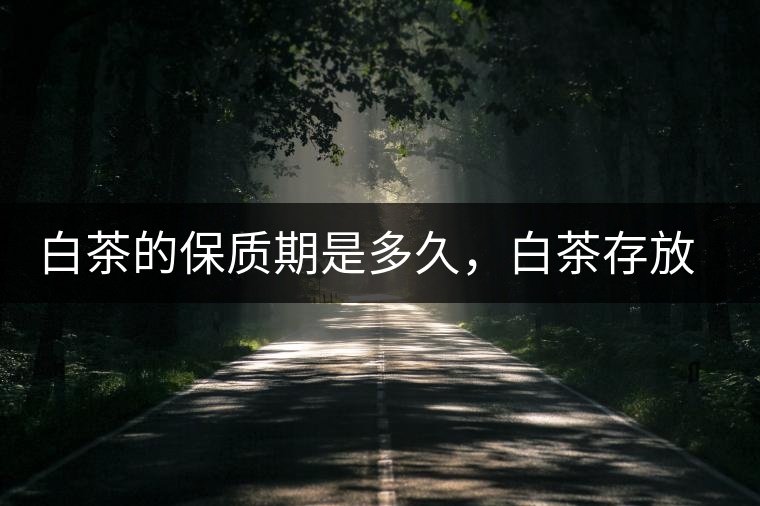白茶的保質(zhì)期是多久，白茶存放多長時(shí)間好喝