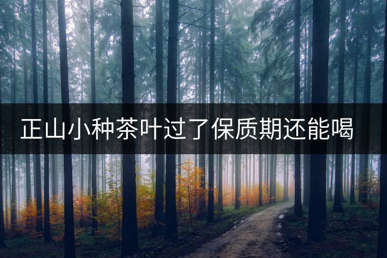 正山小種茶葉過了保質(zhì)期還能喝嗎