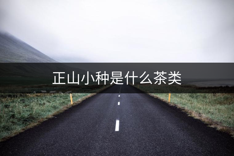 正山小種是什么茶類