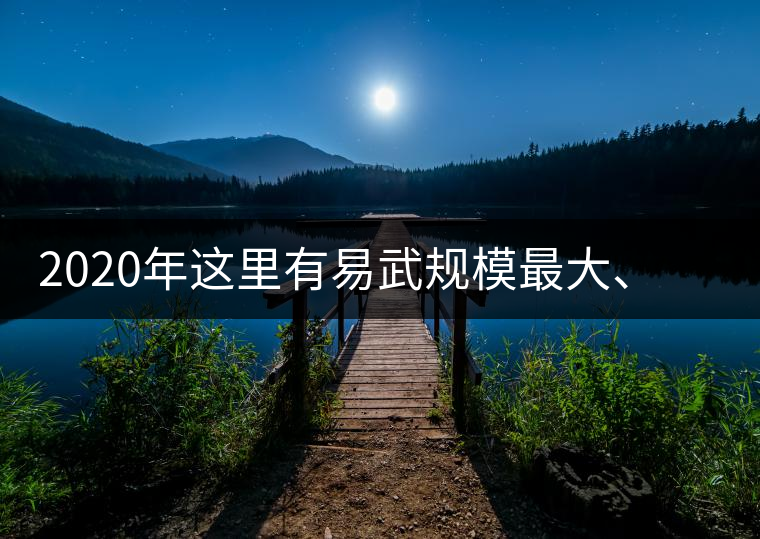 2020年這里有易武規(guī)模最大、保存最好的古樹茶林-易武中聘號
