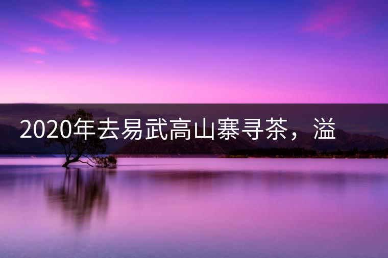 2020年去易武高山寨尋茶，溢滿茶香的古樹寨子-易武中聘號(hào)