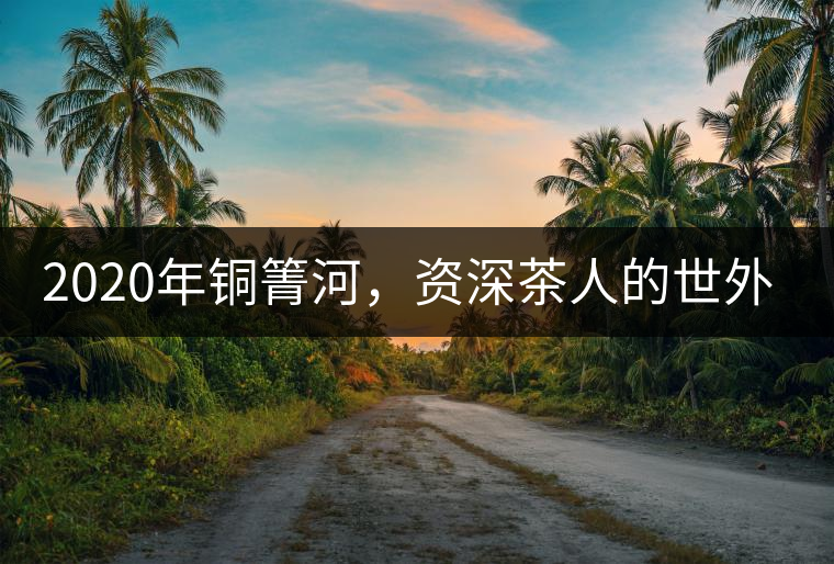 2020年銅箐河，資深茶人的世外桃源-易武-易武中聘號