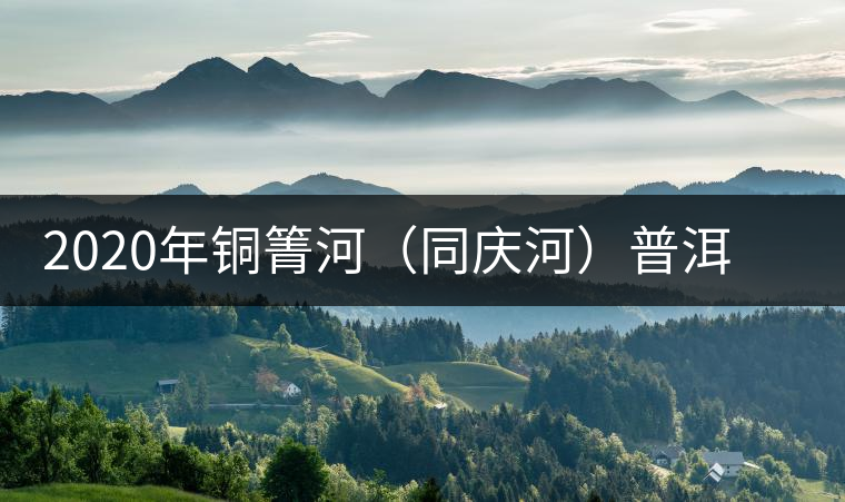 2020年銅箐河（同慶河）普洱茶，野味真難尋！-易武中聘號