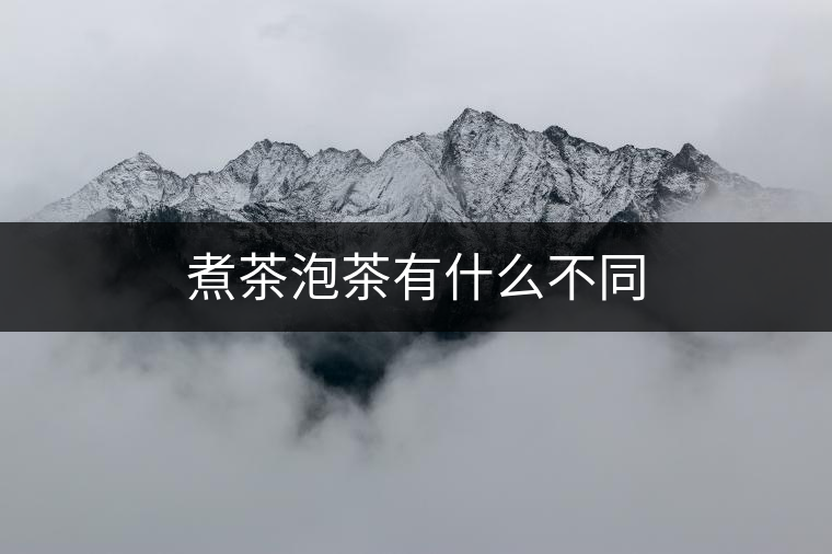 煮茶泡茶有什么不同