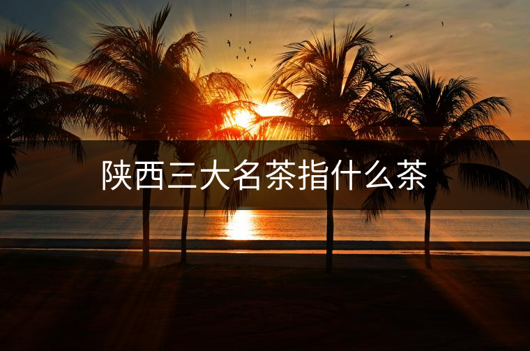陜西三大名茶指什么茶