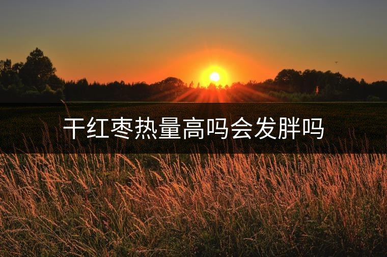 干紅棗熱量高嗎會發(fā)胖嗎