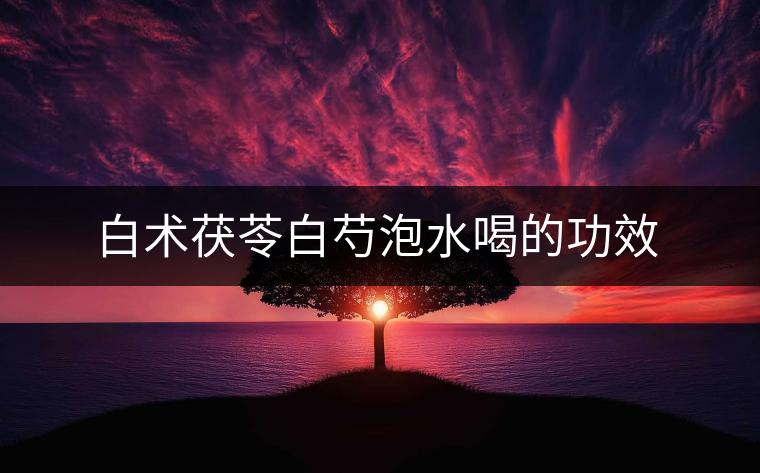 白術(shù)茯苓白芍泡水喝的功效