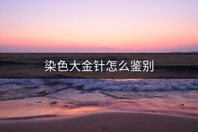 染色大金針怎么鑒別