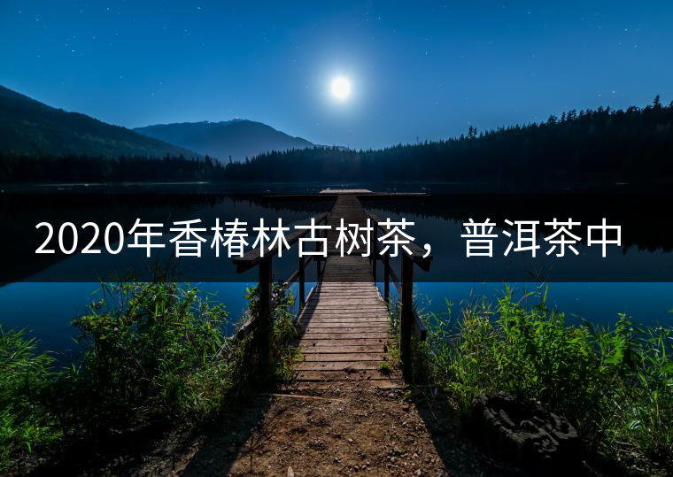 2020年香椿林古樹茶，普洱茶中的油膩大叔-易武中聘號(hào)
