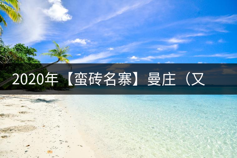 2020年【蠻磚名寨】曼莊（又作：蠻磚、曼磚）-易武中聘號