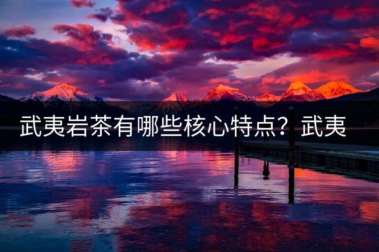 武夷巖茶有哪些核心特點(diǎn)？武夷巖茶的品質(zhì)特征介紹