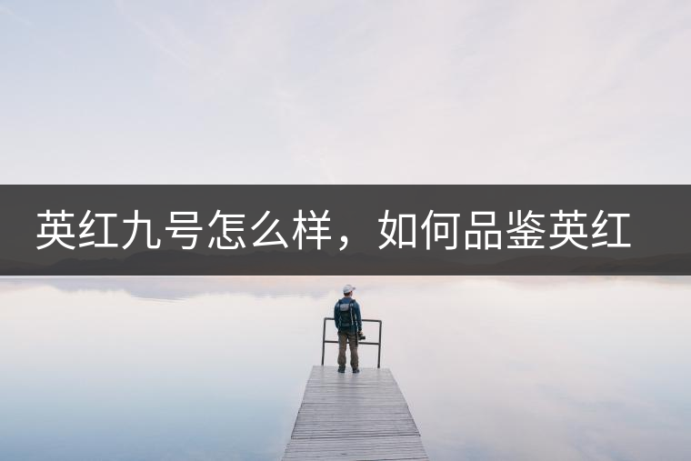 英紅九號怎么樣，如何品鑒英紅九號紅茶