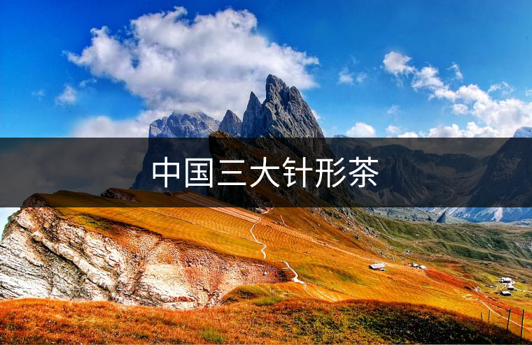 中國(guó)三大針形茶
