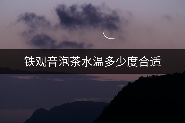 鐵觀(guān)音泡茶水溫多少度合適