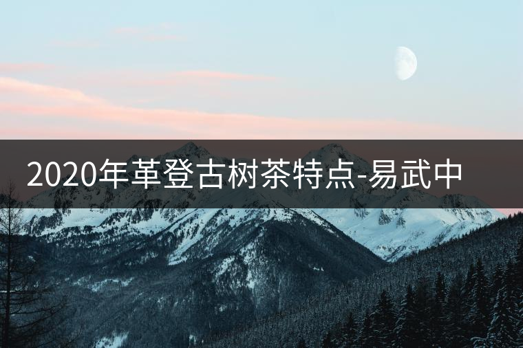2020年革登古樹茶特點-易武中聘號