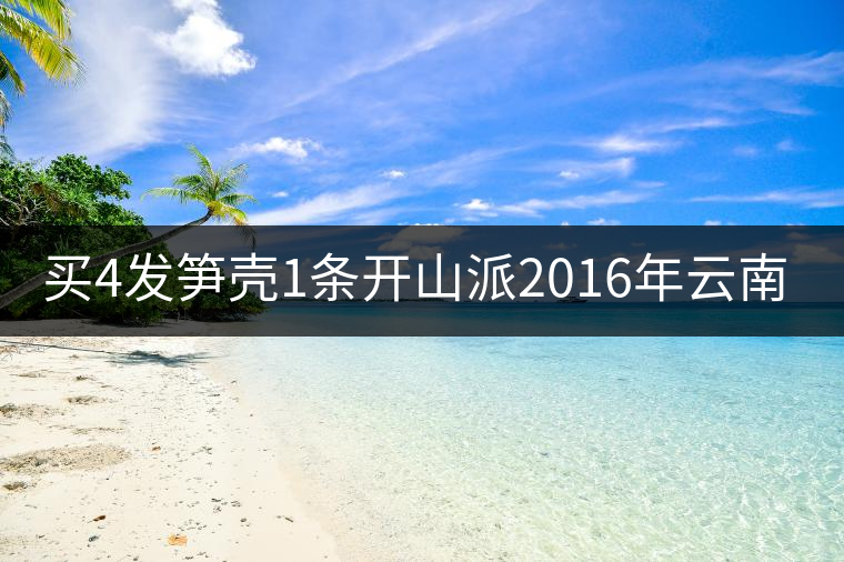 買4發(fā)筍殼1條開山派2016年云南普洱甲級7年料沱茶100g普洱茶 生茶