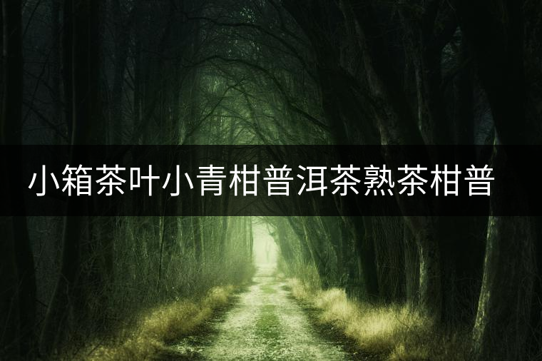 小箱茶葉小青柑普洱茶熟茶柑普茶新會陳皮橘普茶柑普茶禮盒送禮