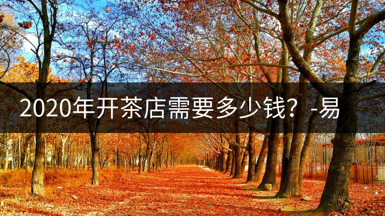 2020年開茶店需要多少錢？-易武中聘號