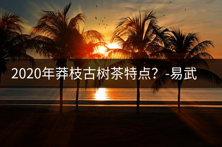 2020年莽枝古樹茶特點(diǎn)？-易武中聘號