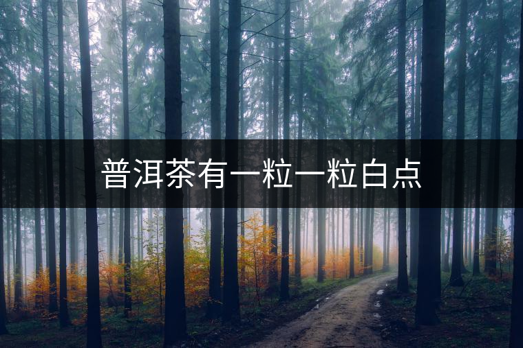 普洱茶有一粒一粒白點