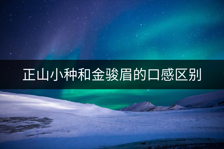 正山小種和金駿眉的口感區(qū)別
