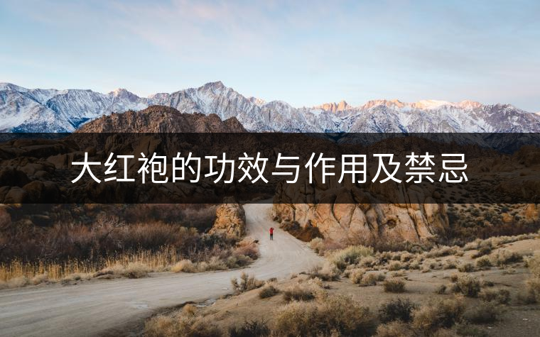大紅袍的功效與作用及禁忌