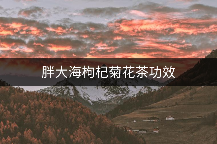 胖大海枸杞菊花茶功效