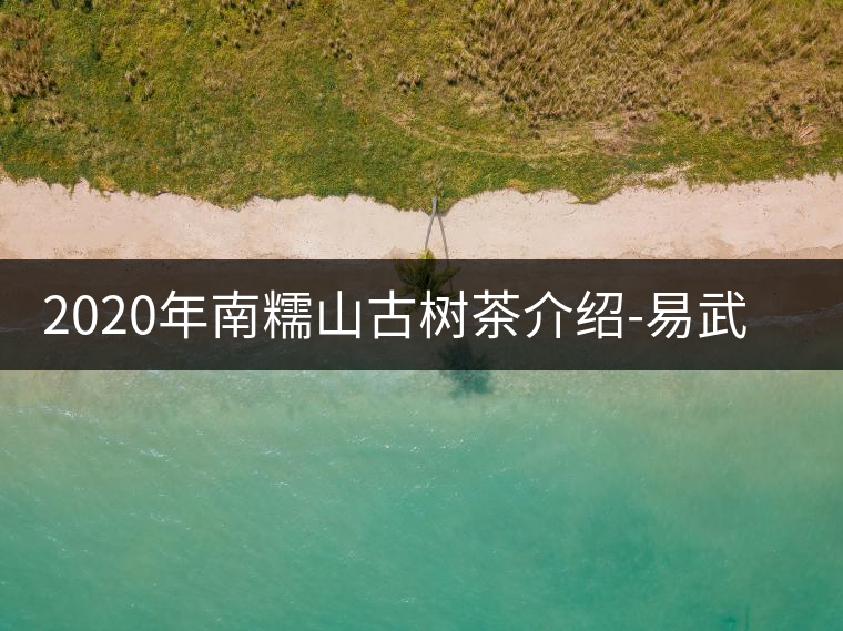 2020年南糯山古樹(shù)茶介紹-易武中聘號(hào)
