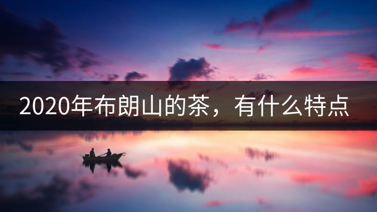 2020年布朗山的茶，有什么特點(diǎn)？-易武中聘號(hào)