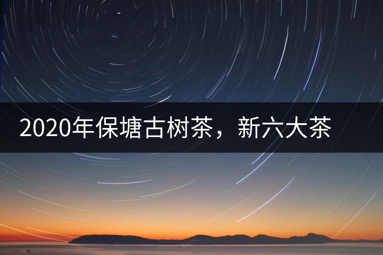 2020年保塘古樹(shù)茶，新六大茶山之勐宋茶佼佼者-易武中聘號(hào)