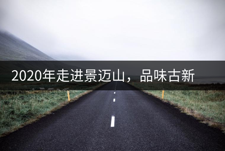 2020年走進景邁山，品味古新六大茶山古樹茶之韻-易武中聘號