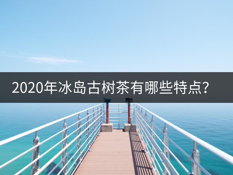 2020年冰島古樹茶有哪些特點(diǎn)？-易武中聘號(hào)