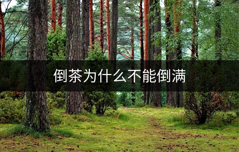 倒茶為什么不能倒?jié)M