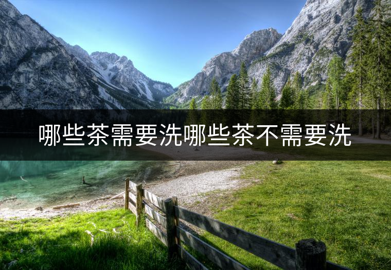 哪些茶需要洗哪些茶不需要洗 哪些茶需要洗哪些茶不需要洗