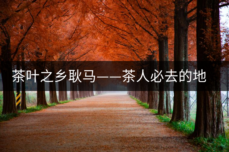 茶葉之鄉(xiāng)耿馬——茶人必去的地方