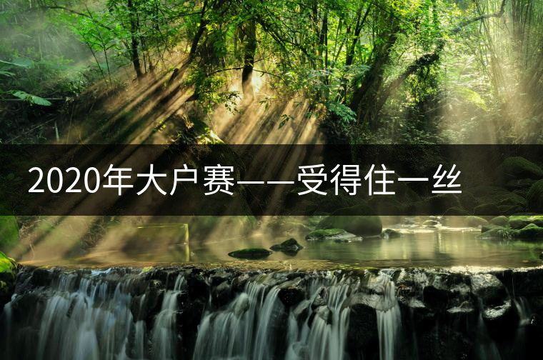 2020年大戶(hù)賽——受得住一絲苦，才能盡享一口甜-易武中聘號(hào)